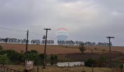 Fazenda à Venda com 53 alqueires - Cana e Pecuária - Região de Fernandópolis/SP