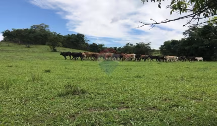 Fazenda - 83 alqueires - Região de General Salgado/SP