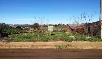Terreno à venda, 200 m² por R$ 39.900,00 - Jardim Aviação - Apucarana/PR