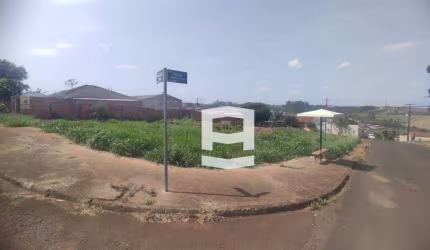 Terreno à venda, 200 m² por R$ 55.000,00 - Loteamento Sanches dos Santos - Apucarana/PR