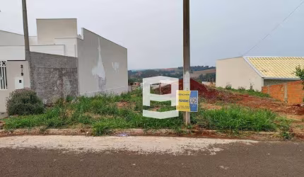 Terreno à venda, 300 m² por R$ 95.000,00 - Residencial Veneza - Apucarana/PR