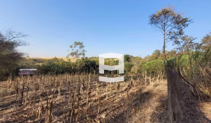 Chácara à venda, 3000 m² por R$ 300.000,00 - Chácara Mate Amargo - Apucarana/PR