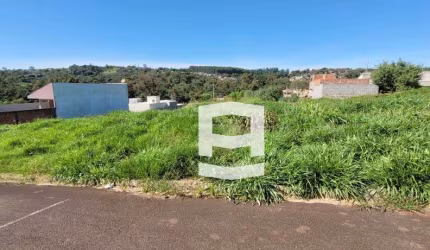 Terreno à venda, 300 m² por R$ 85.000,00 - Jardim Primavera - Apucarana/PR