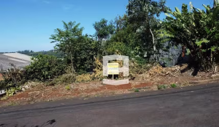 Terreno à venda, 378 m² por R$ 105.000,00 - Jardim Morada do Sol - Apucarana/PR