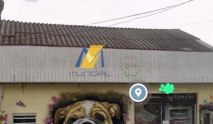 Terreno a venda no bairro Paulicéia