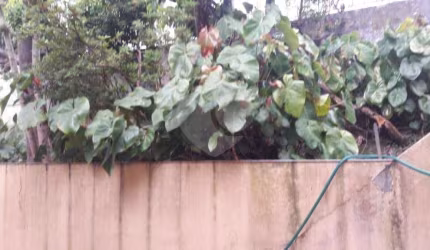 Terreno à venda na Rua Damiana da Cunha, 354, Santa Teresinha, São Paulo, 852 m2 por R$ 3.800.000