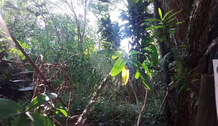 Terreno à venda na Rua Capitão Luís Rodrigues de Albuquerque, 98, Vila Irmãos Arnoni, São Paulo, 572 m2 por R$ 1.200.000