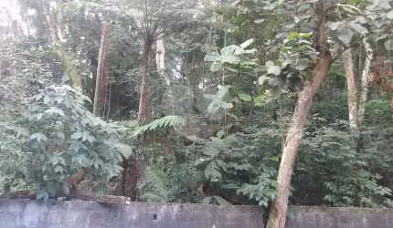 Terreno à venda na Rua Coronel Agostinho da Fonseca, 1, Tucuruvi, São Paulo, 5951 m2 por R$ 1.200.000