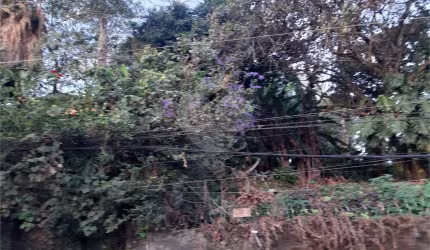 Terreno à venda na Rua Dragões da Independência, 673, Vila Gustavo, São Paulo, 533 m2 por R$ 1.150.000