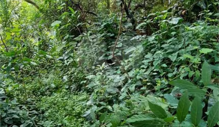 Terreno à venda na Rua Mateus Garcia, 212, Vila Irmãos Arnoni, São Paulo, 480 m2 por R$ 950.000