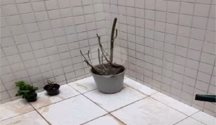Casa em condomínio fechado com 3 quartos à venda na Rua Coronel Vieira de Castro, 76, Imirim, São Paulo, 123 m2 por R$ 850.000