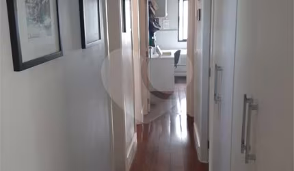 Apartamento com 4 quartos para alugar na Avenida dos Eucaliptos, 165, Indianópolis, São Paulo, 364 m2 por R$ 25.000