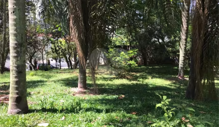 Terreno à venda na Rua Aldo Travaglia, 206, Lar São Paulo, São Paulo, 537 m2 por R$ 990.000