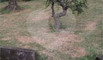 Casa com 3 quartos à venda na Rua Frederico Rene de Jaegher, 1323, Rio Bonito, São Paulo, 486 m2 por R$ 1.300.000
