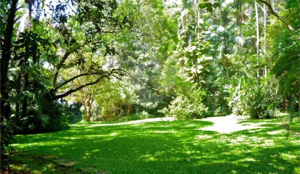 Chácara / sítio com 5 quartos à venda na Alameda Agenor Couto Magalhães, 85, Vila Clarice, São Paulo, 320 m2 por R$ 1.600.000