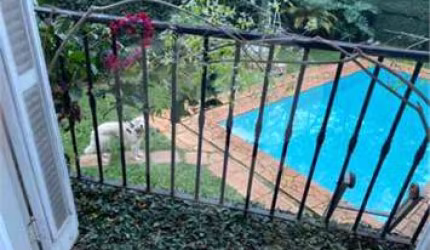 Casa com 4 quartos para alugar na Rua Sebastião Cabot, 464, Jardim Guedala, São Paulo, 420 m2 por R$ 22.000