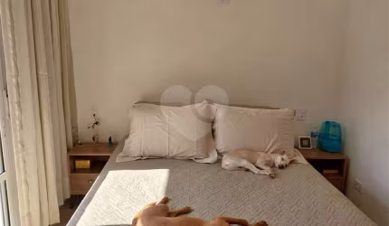 Casa com 3 quartos à venda na Rua Colônia D'Assunção, 894, Itaim Paulista, São Paulo, 163 m2 por R$ 720.000