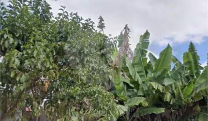 Terreno à venda na Rua Betânia, 580, Parque Oratório, Santo André, 300 m2 por R$ 615.000