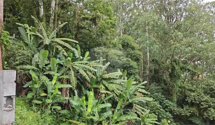 Terreno à venda na Avenida Nova Cantareira, 1, Tucuruvi, São Paulo, 3351 m2 por R$ 2.190.000