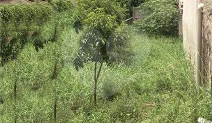 Terreno à venda na Rua Dom Bento Pickel, 418, Casa Verde, São Paulo, 1010 m2 por R$ 1.700.000