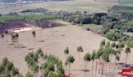 Chácara a Venda com 20.000 m2 entre Bauru/ Agudos