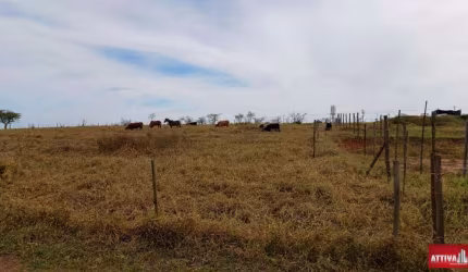 CHACARA A VENDA EM PIRATINIGA