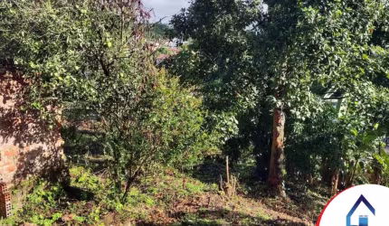 Sítio em Muribara  -  São Lourenço da Mata