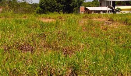 Terreno a venda em Muribara