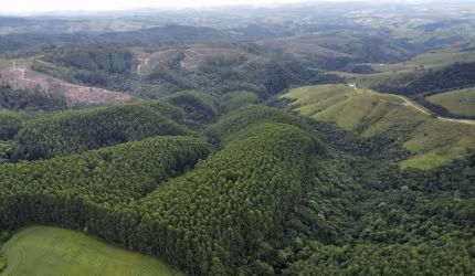 Rancho Verde à Venda