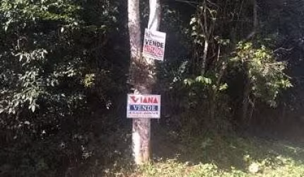 Terreno em Dos Fincos Jd Tupa  -  São Bernardo do Campo