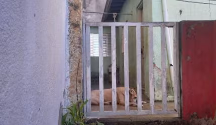 Casa em Santa Terezinha  -  São Bernardo do Campo