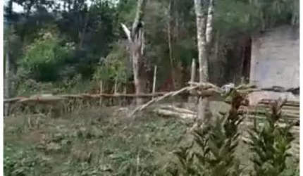 Terreno em Tatetos  -  São Bernardo do Campo