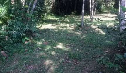 Terreno em Tatetos  -  São Bernardo do Campo