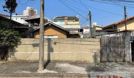 Terreno em Vila Floresta  -  Santo André