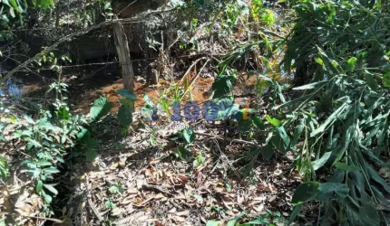Chácara / sítio à venda no Centro, Borda da Mata , 2000 m2 por R$ 100.000