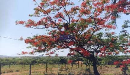 Fazenda à venda na Virgílio Justiniano Ribeiro, 232, Centro, Unaí, 345 m2 por R$ 9.600.000