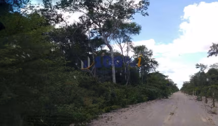 Fazenda à venda na Zona Rural, 10, Centro, Alvorada do Gurguéia, 15724 m2