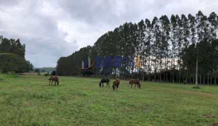 Fazenda à venda na Rural, S/N, Área Rural de Tucuruí, Tucuruí