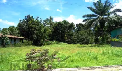 Ubatuba, Horto, Condomínio Park Hills - Terreno com 1176m2