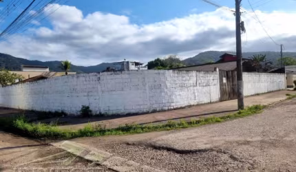 Ubatuba, Jardim Carolina - Terreno  com 900 m2, aterrado e murado.