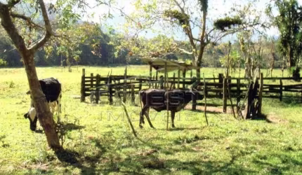 Ubatuba, Bairro Mato Dentro - Área com 3.828.000m2 ou 382.800ha, área para loteamento e tbm crédito carbono, documentação ok