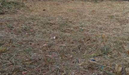 Terreno à venda, 720 m² por R$ 700.000 - Novo Rio Das Ostras - Rio das Ostras/RJ