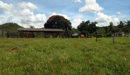 Fazenda de 9,90 alqueires à venda em Uberlândia-MG na Área Rural: oportunidade imperdível!