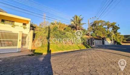 Terreno 420m2 e 14m de frente no Passo Manso!