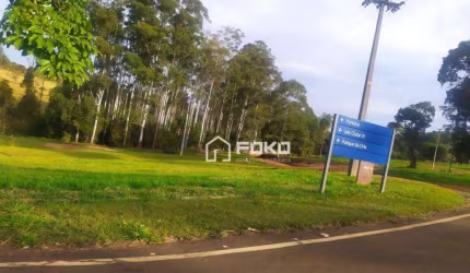 Terreno à venda, 650 m² por R$ 20.000,00 - Terras de Santa Cristina III - Itaí/SP