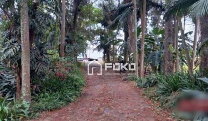 Terreno, 21 m² - venda por R$ 29.400.000,00 ou aluguel por R$ 25.000,00/mês - Parque Edu Chaves - São Paulo/SP