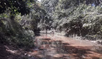 Terra na Zona Rural de Padre Bernardo de 20 hectares, com água, escritura e registro. Aceito carro