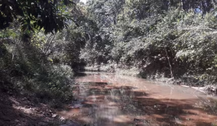 Terra na Zona Rural de Padre Bernardo de 20 hectares, com água, escritura e registro. Aceito carro