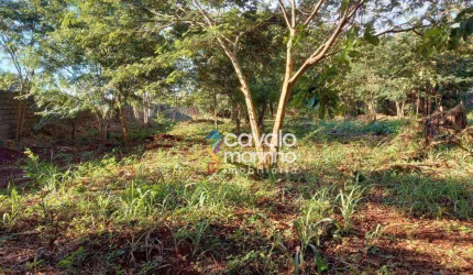 Terreno para alugar, 3000 m² por R$ 6.001,00 - Ribeirânia - Ribeirão Preto/SP