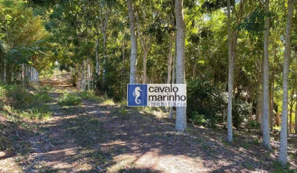 Terreno à venda, 1000 m² por R$ 350.000,00 - Zona Rural - Delfinópolis/MG